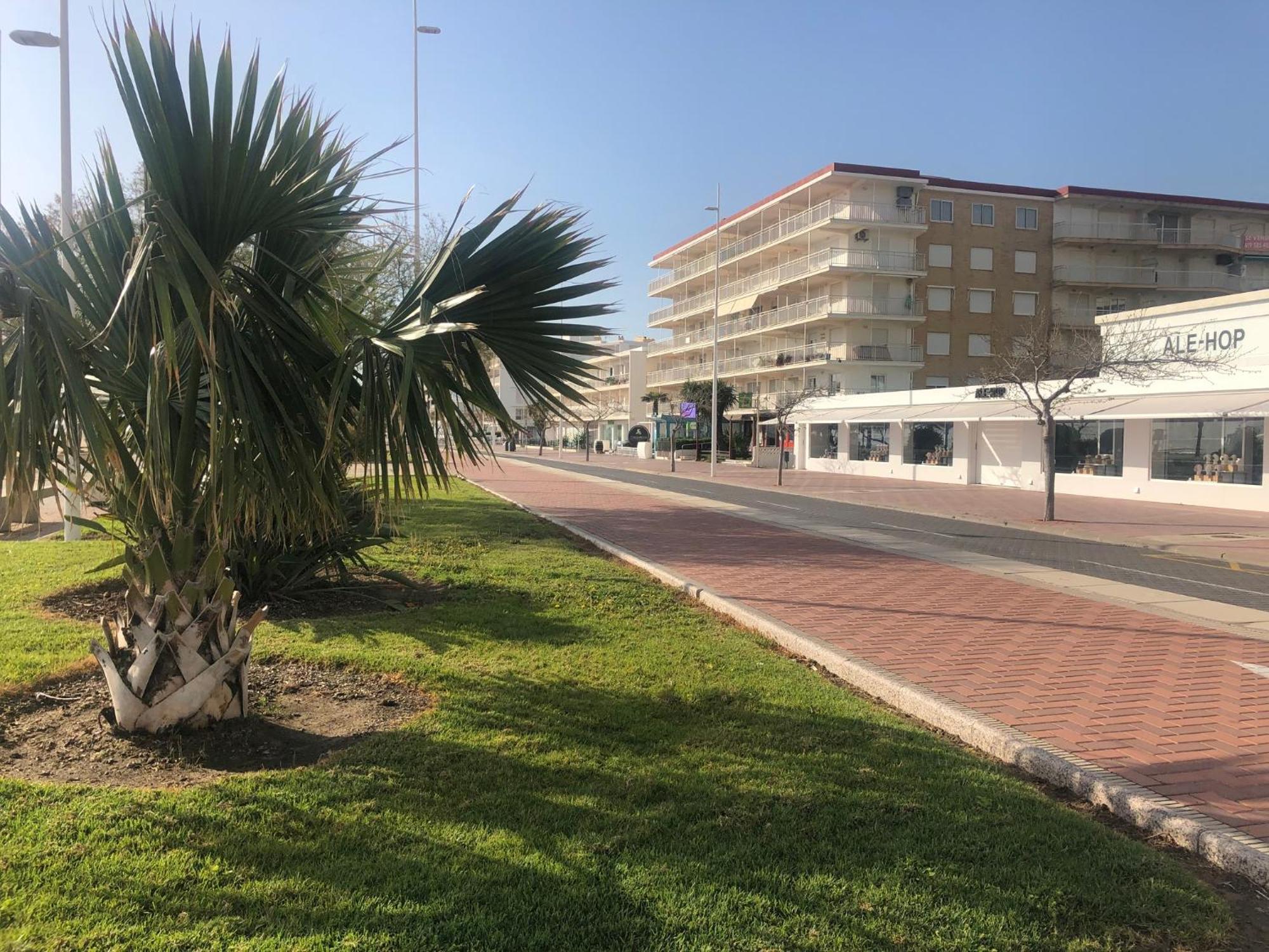 Playa De Gandia 1Ere Ligne El Galeonアパートメント エクステリア 写真